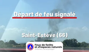 Incendie à Saint-Estève (66) : le feu est éteint