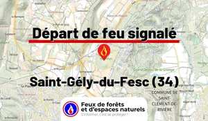 Incendie à Saint-Gély-du-Fesc (34) : le feu est éteint