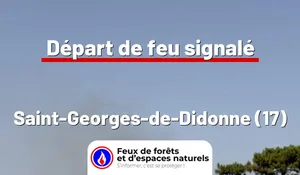 Incendie à Saint-Georges-de-Didonne (17) : le feu est éteint