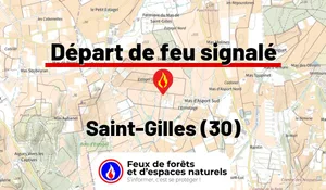 Incendie à Saint-Gilles (30) : le feu est éteint