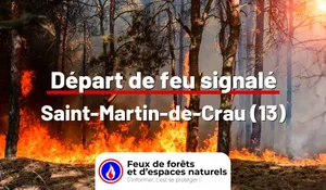 Incendie à Saint-Martin-de-Crau (13) : le feu est éteint