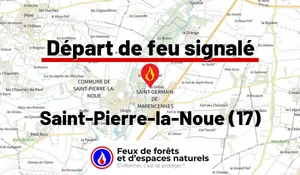 Incendie à Saint-Pierre-la-Noue (17) : le feu est éteint
