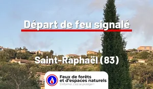 Incendie à Saint-Raphaël (83) : le feu est éteint