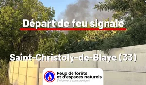 Incendie à Saint-Christoly-de-Blaye (33) : le feu est éteint