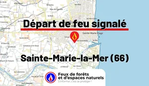 Incendie à Sainte-Marie-la-Mer (66) : le feu est éteint