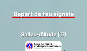 Incendie à Salles-d'Aude (11) : le feu est éteint
