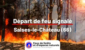 Incendie à Salses-le-Château (66) : le feu est éteint
