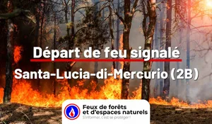 Incendie à Santa-Lucia-di-Mercurio (2B) : le feu est éteint