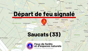 Incendie à Saucats (33) : le feu est éteint