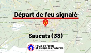 Incendie à Saucats (33) : le feu est éteint