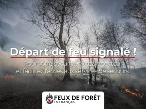 Incendie à Saussines (34) : le feu est éteint
