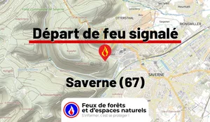 Saverne (67)