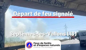 Incendie à Septèmes-les-Vallons (13) : le feu est éteint
