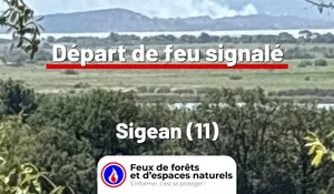 Incendie à Sigean (11) : le feu est éteint