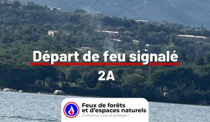 Signalement