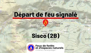 Sisco (2B)