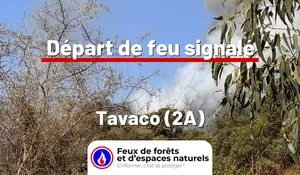 Tavaco (2A)