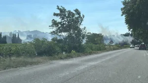 Incendie à Tavel (30), près de l’autoroute A9 : le feu est éteint