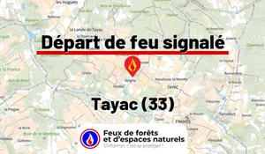 Incendie à Tayac (33) : le feu est éteint