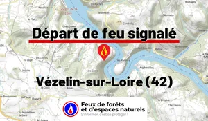 Incendie à Vézelin-sur-Loire (42) : le feu est éteint