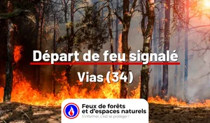 Incendie à Vias (34) : le feu est éteint