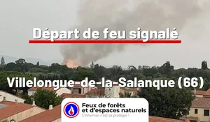 Incendie à Villelongue-de-la-Salanque (66) : le feu est éteint