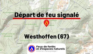 Westhoffen (67)