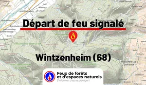 Wintzenheim (68)