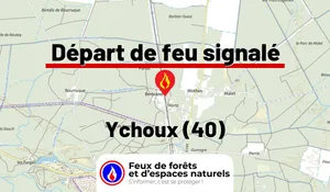 Incendie à Ychoux (40) : le feu est éteint