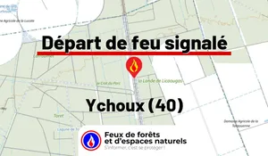 Incendie à Ychoux (40) : le feu est éteint