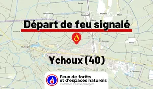Incendie à Ychoux (40) : le feu est éteint