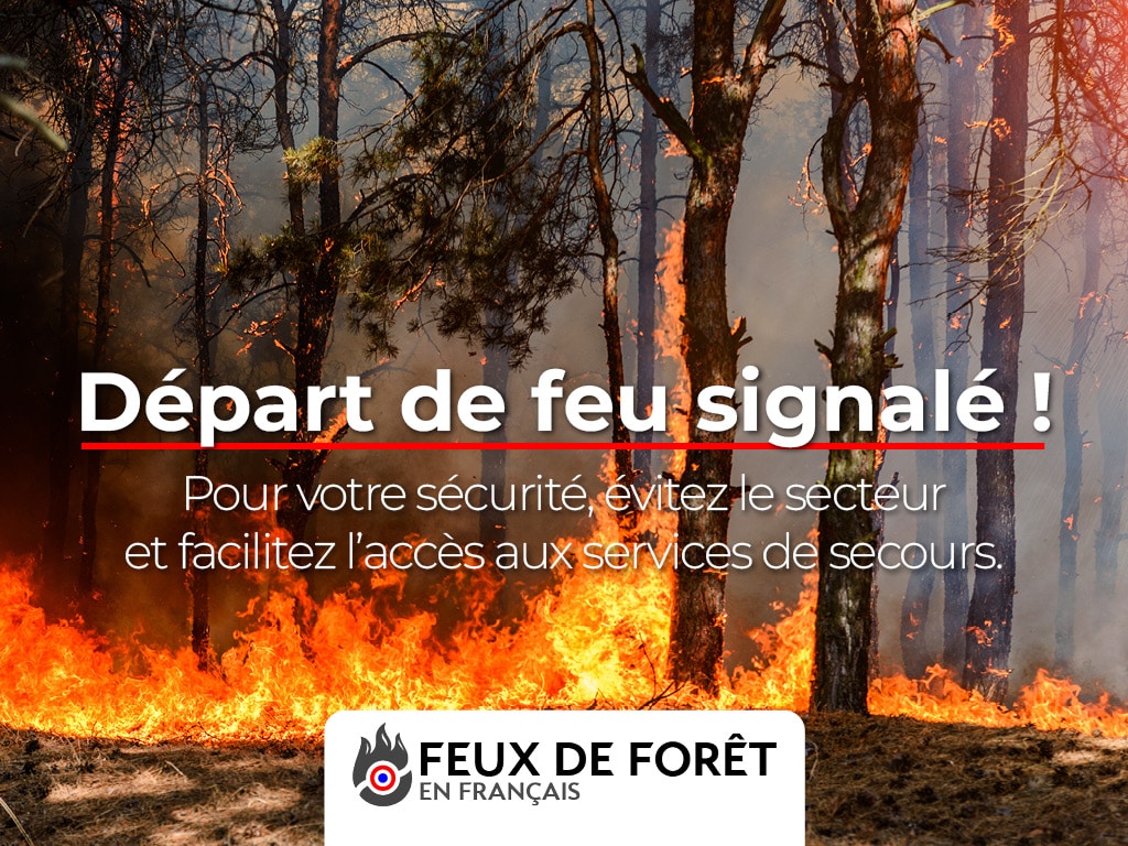 Feu de forêt - pompiers13