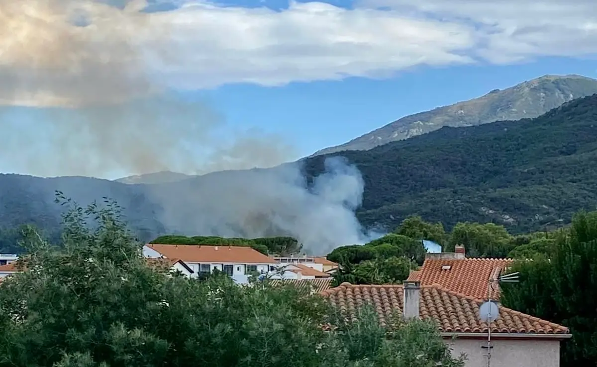 feu incendie fumee argeles sur mer