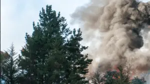 Feu d'habitation près d'une forêt.