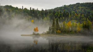 Forêt Québec