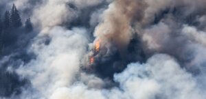 Sarthe : Incendie de forêt