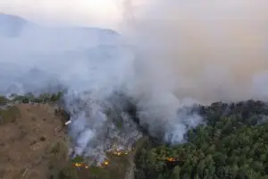 Feu de forêt dans la Drôme