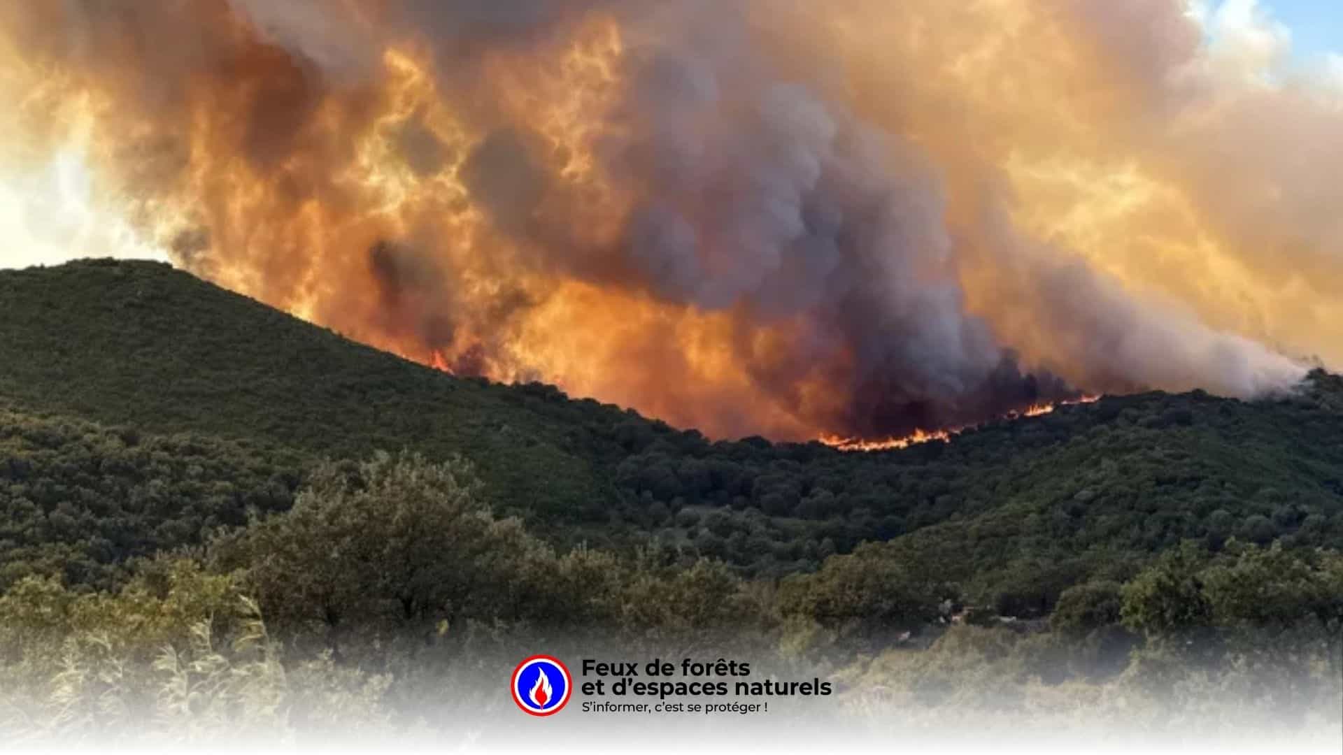 Haute Corse Un Incendie En Cours A D j Br l 200 Hectares Pr s De haute-corse-un-incendie-en-cours-a-d-j-br-l-200-hectares-pr-s-de