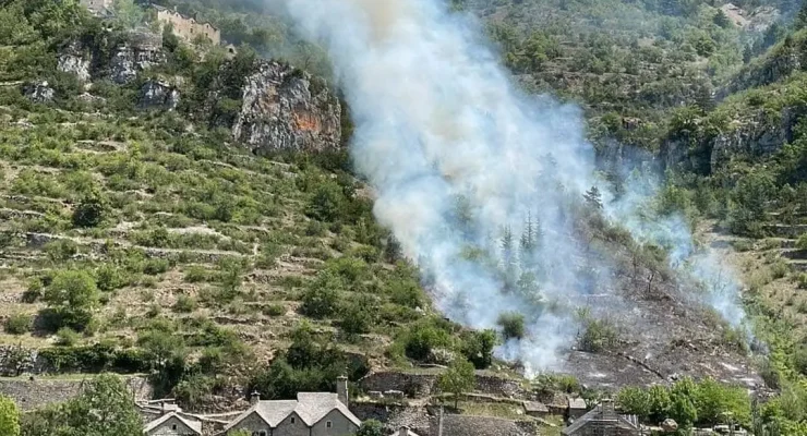 Témoin via l'application Feux de forêt.