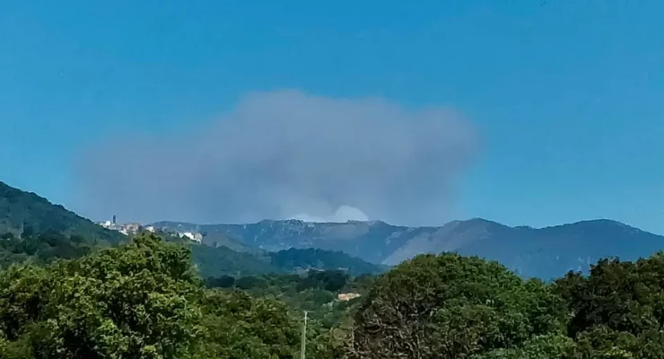 Un témoin via l'application Feux de forêt.