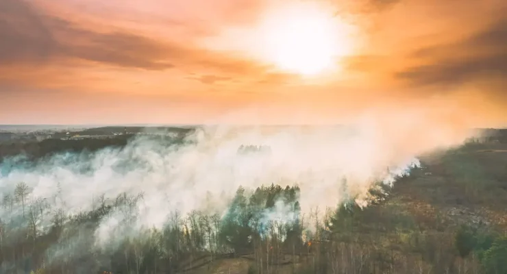 Feu de forêt au Canada