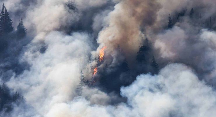 Sarthe : Incendie de forêt