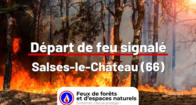 fdf-signalement-24596-mini.jpg