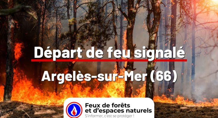 fdf-signalement-24616-mini.jpg