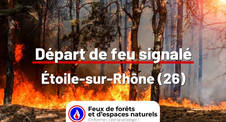 fdf-signalement-24667-mini.jpg