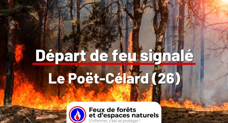 fdf-signalement-24677-mini.jpg