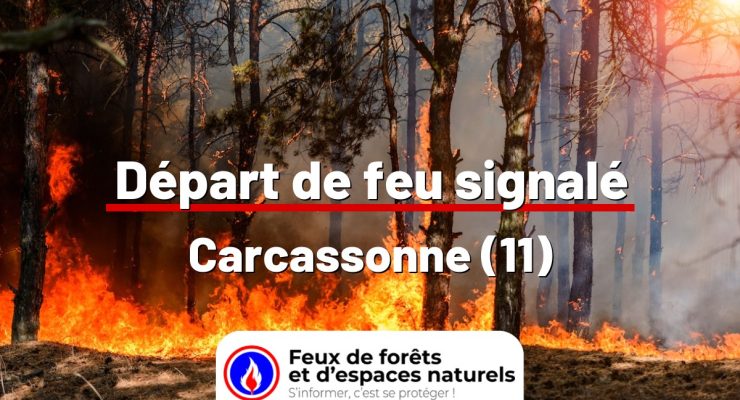 fdf-signalement-24681-mini.jpg