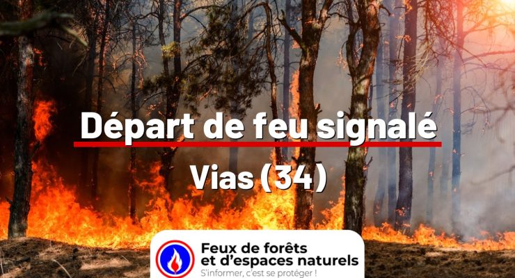 fdf-signalement-24763-mini.jpg