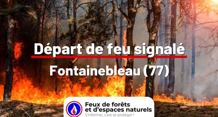 fdf-signalement-24791-mini.jpg