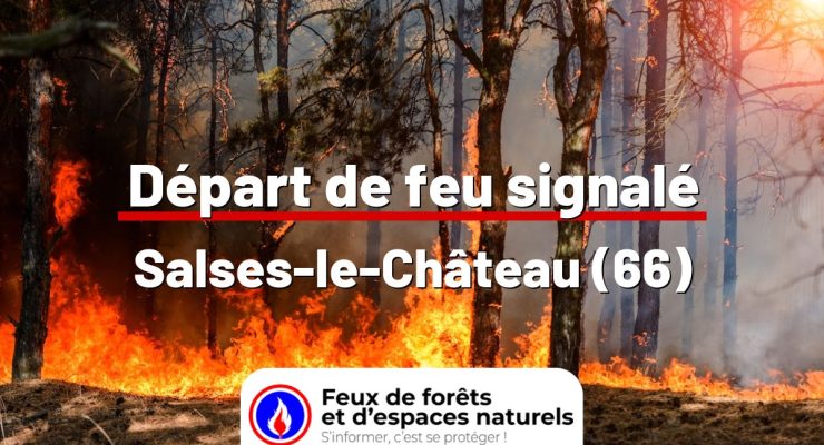 fdf-signalement-24809-mini.jpg